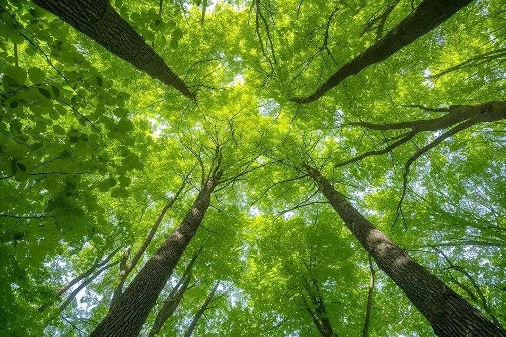 https://smartik.ru/kirov/post/210395671?utm_medium=organic&utm_source=yandexsmartcamera