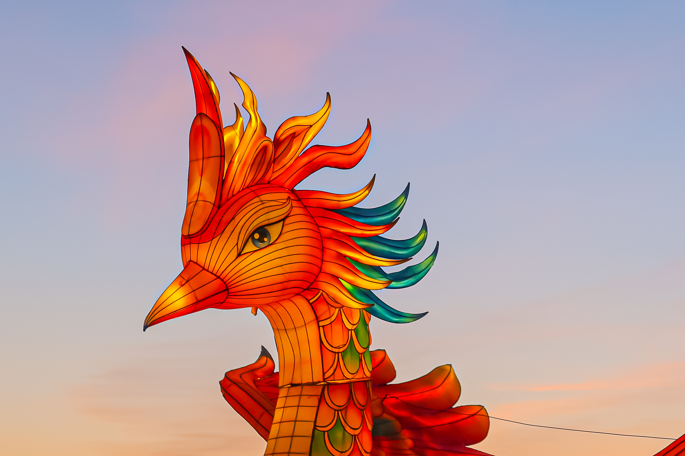 Драконы и фениксы из Цзыгуна поселились на Заячьем острове31