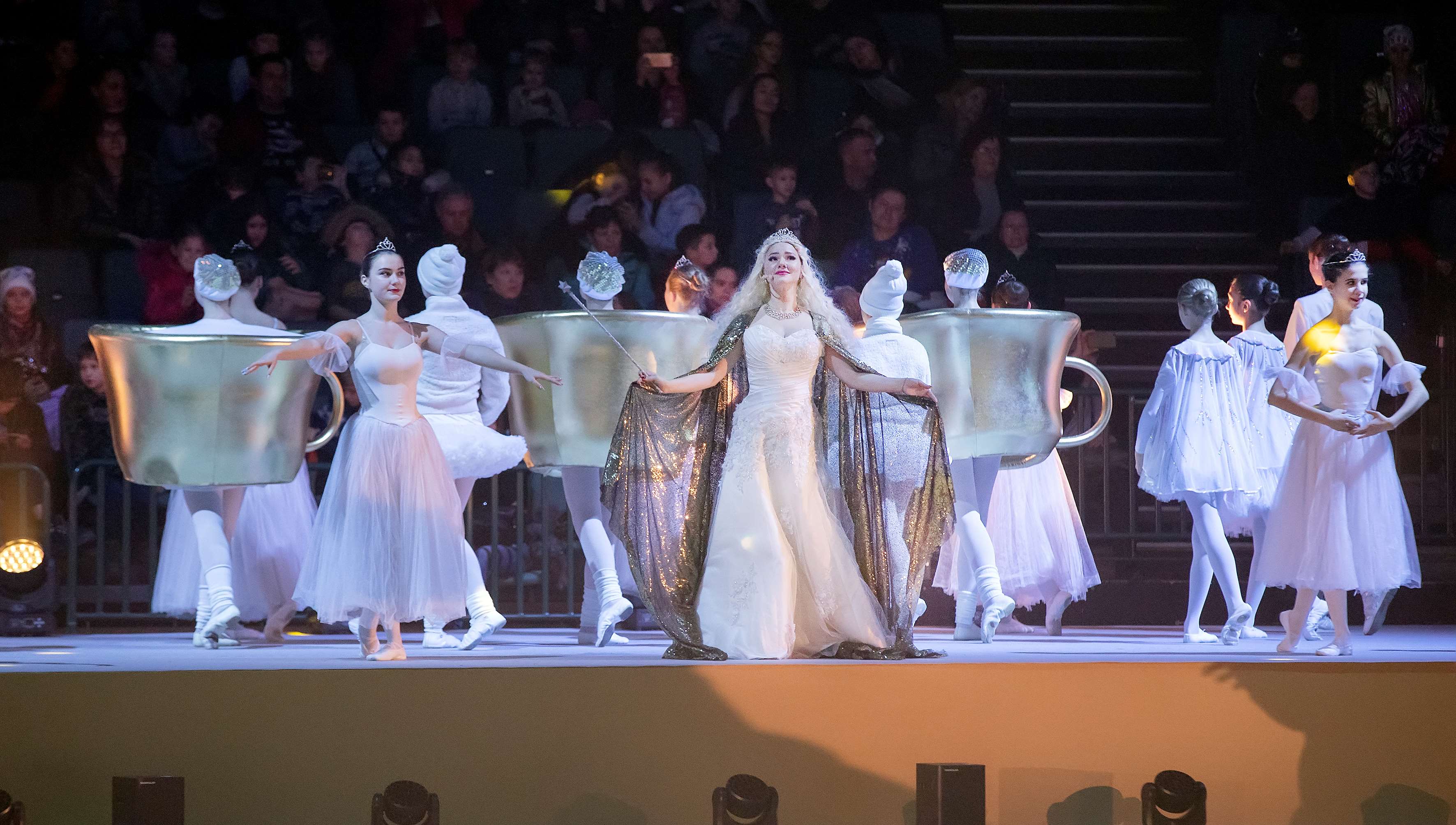 Губернаторскую ёлку в Ледовом дворце посетят 255 тысяч детей2