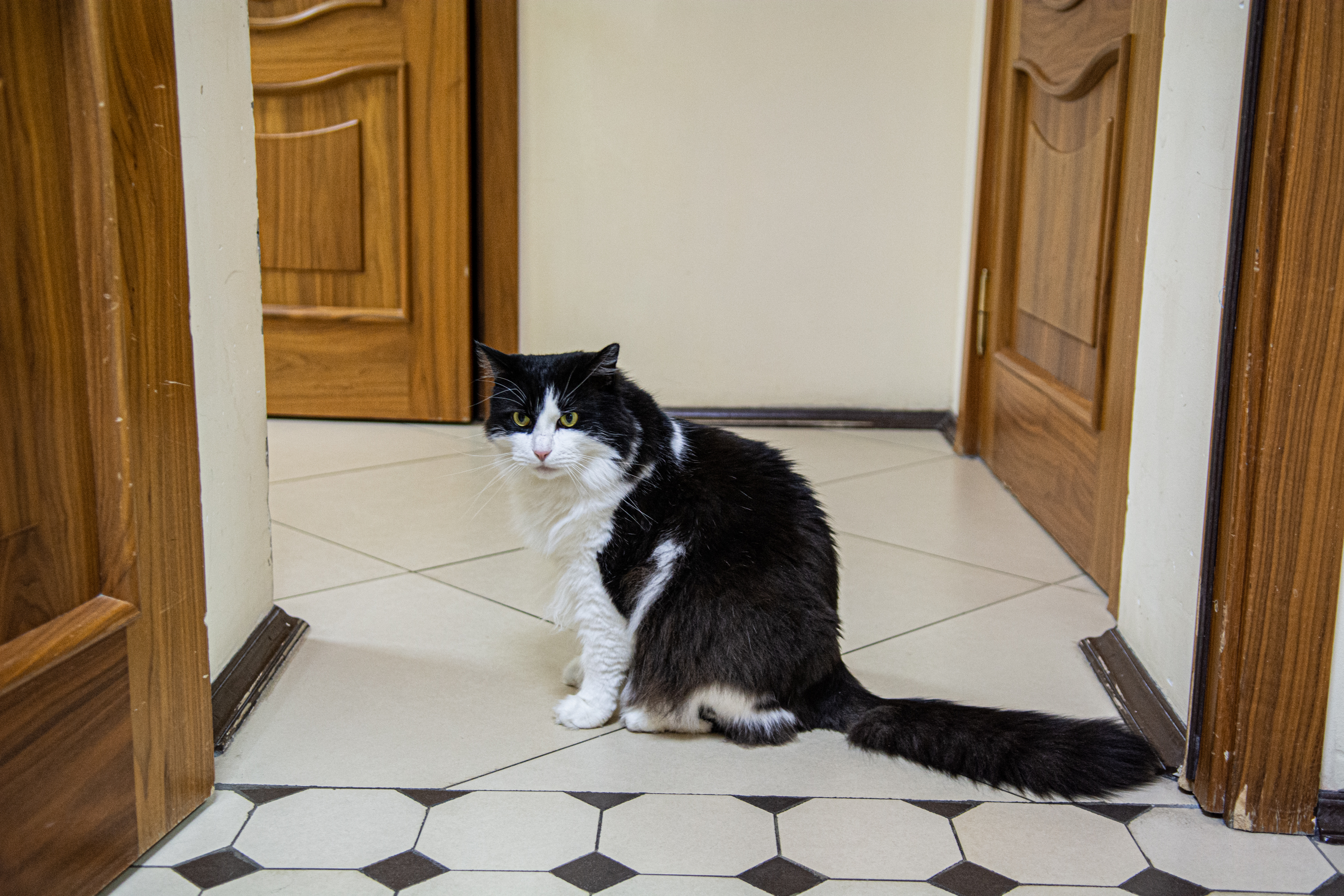 Проход за кулисы разрешен!3