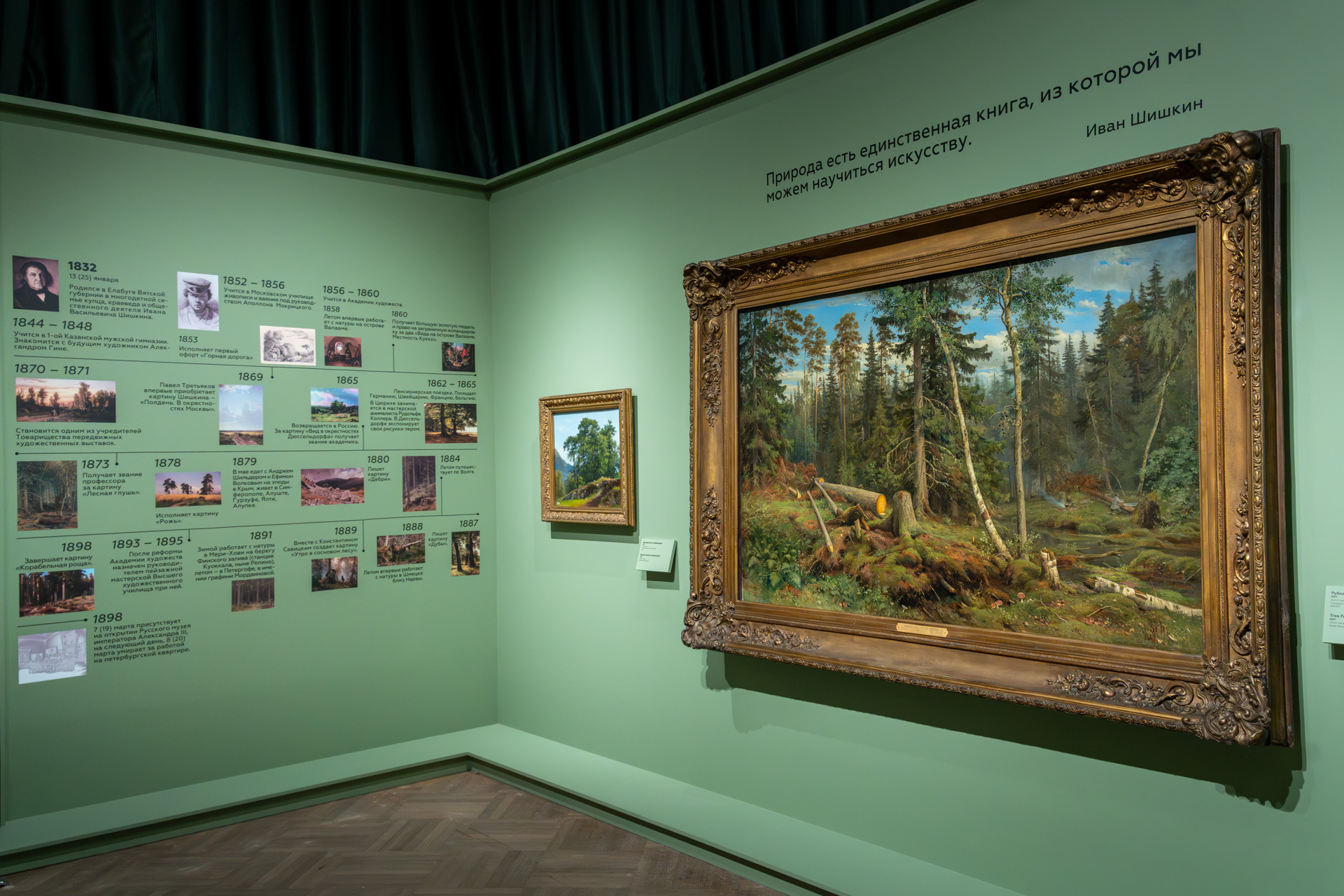 Русский музей отметил день рождения выставкой «Иван Шишкин. Русский лес»7