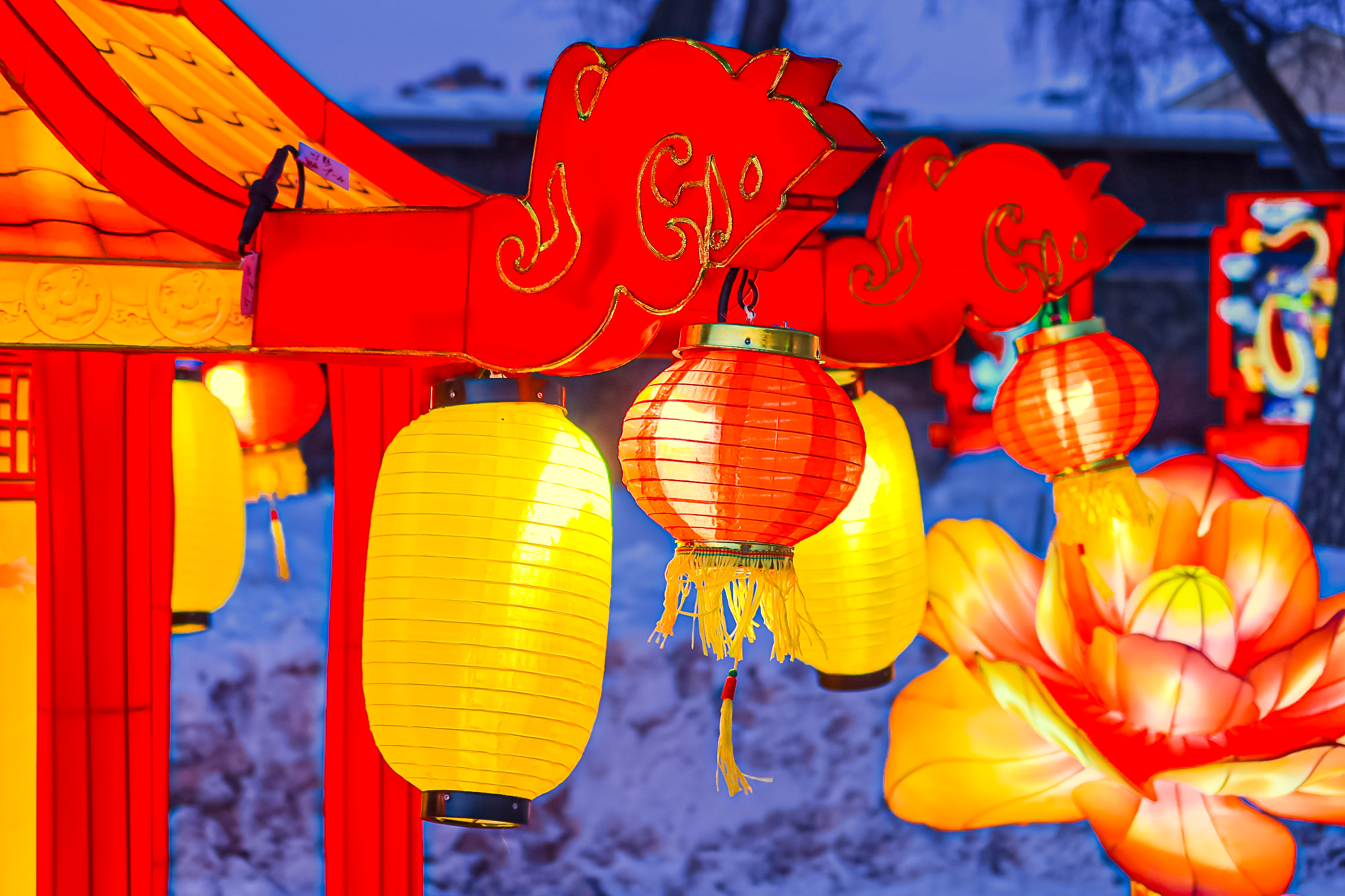 Драконы и фениксы из Цзыгуна поселились на Заячьем острове11