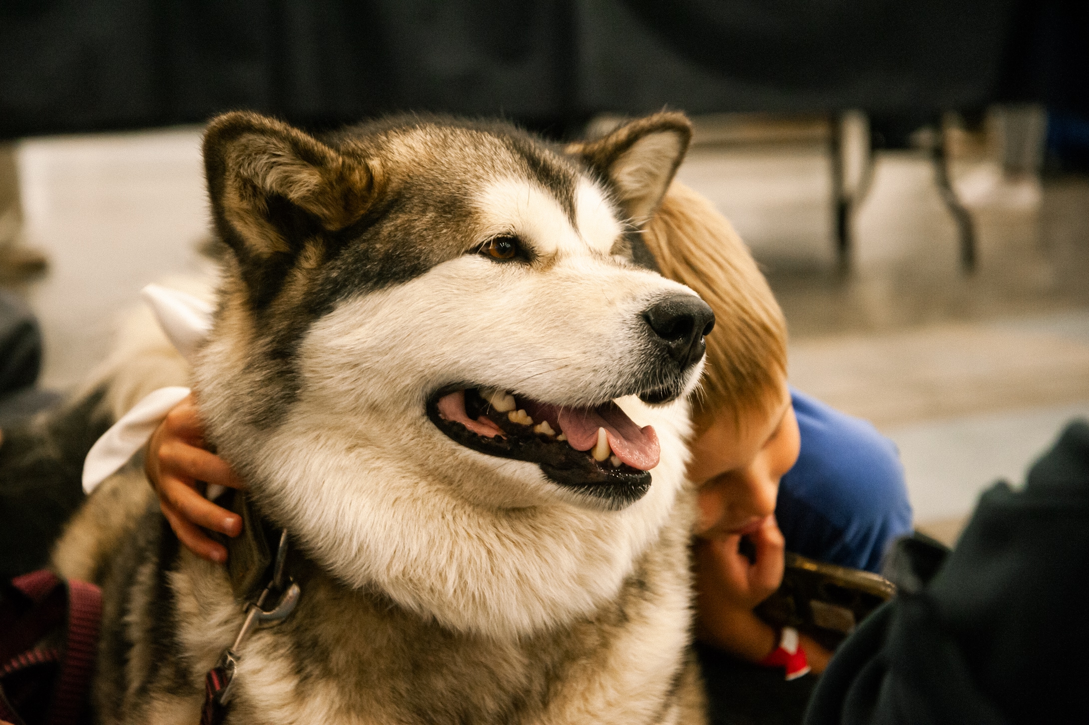 Благотворительный фестиваль «Путь домой» впервые пройдет в ТРК «Лето»4