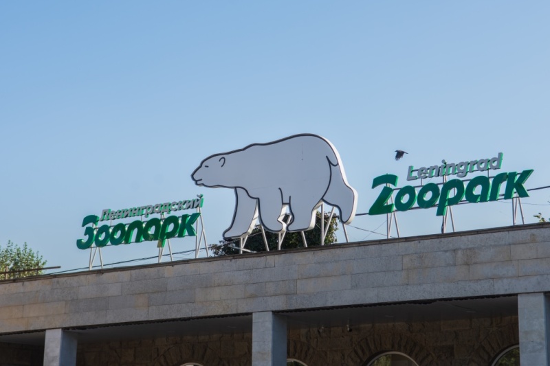 Ленинградский зоопарк подготовил две новогодние программы для детей