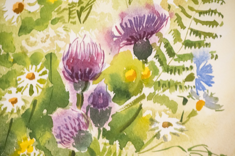 Фото: Ирина Иванова. Правообладатель: Институт культурных программ. 