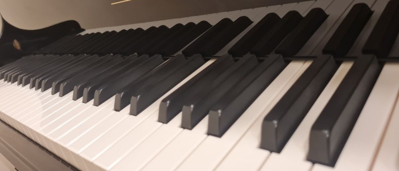 Фото заставки: vk.com/umc_spb. Правообладатель: vk.com/umc_spb.