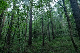 «НОТА» предложит по-новому взглянуть на краеведение  3