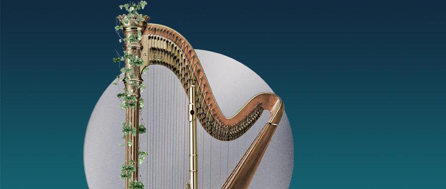Обложка: Флейтовую и арфовую музыку объединят в фестиваль 
