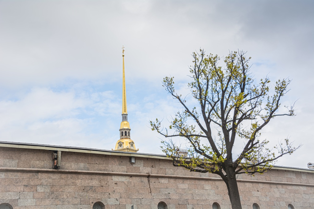 Шпиль Петропавловского собора. Фото: Ирина Иванова. Шпиль Петропавловского собора. Фото: Ирина Иванова.