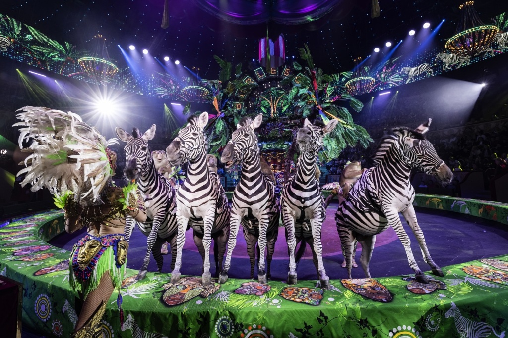 Фото: circus.spb.ru. Правообладатель: Королевский цирк Гии Эрадзе. 3.jpg