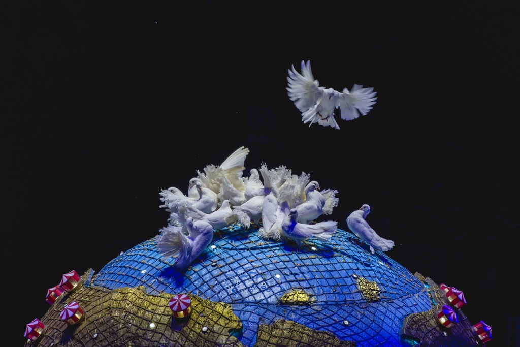 II Фестиваль циркового искусства «Без границ». Фото: Ирина Иванова.