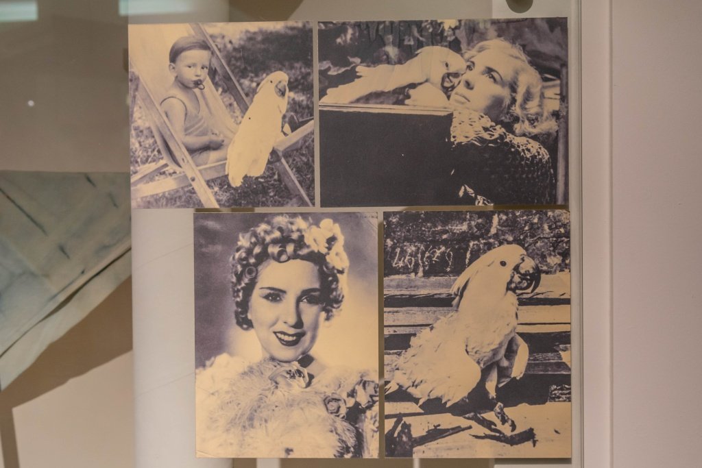 Народный музей «А музы не молчали…». Фото - Ирина Иванова-7195.jpg