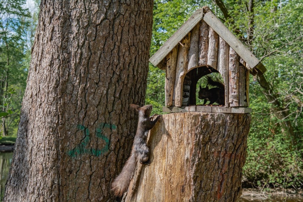 Фото: Ирина Иванова