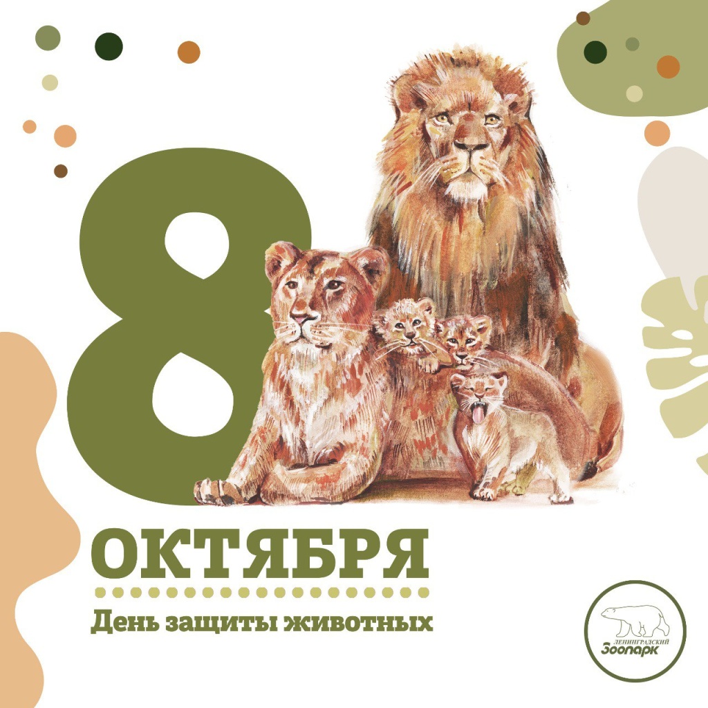 День защиты животных День защиты животных