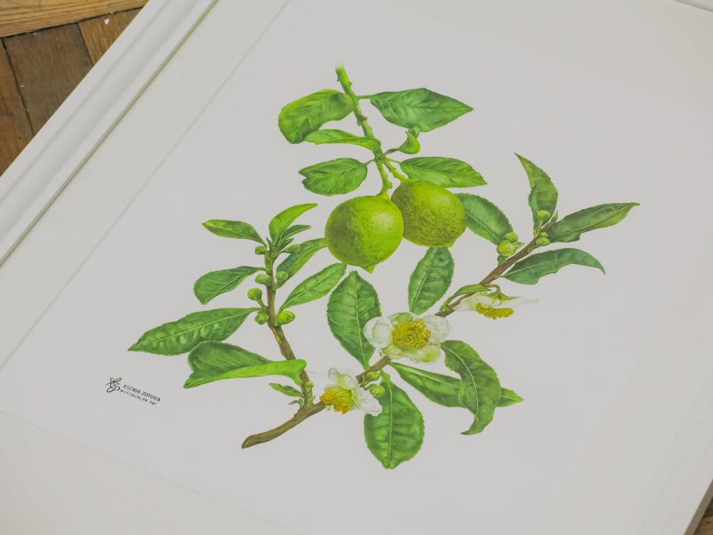 Фото: Ирина Иванова. Правообладатель: Институт культурных программ. 