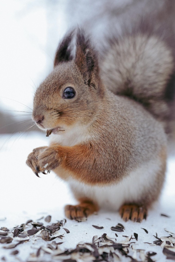 Фото: Анна Боровских