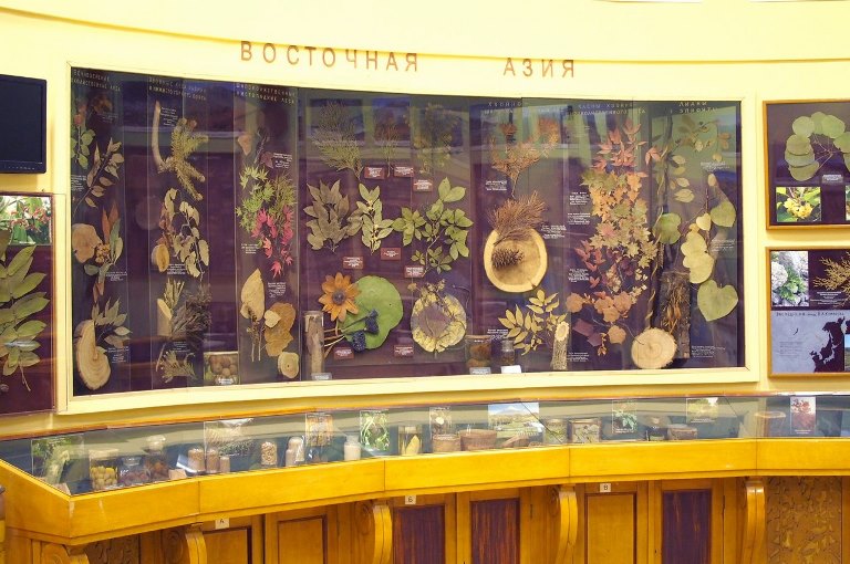 Фото: botsad-spb.com/ru/muzej. Автор: Александра Медведева. Правообладатель: botsad-spb.com/ru/muzej.