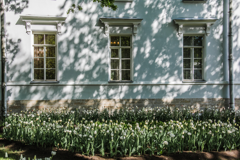 Фестиваль тюльпанов на Елагином острове в 2021. Фото: Ирина Иванова