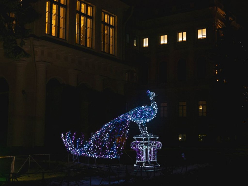 Огни Аничкова дворца Фото: Ирина Иванова