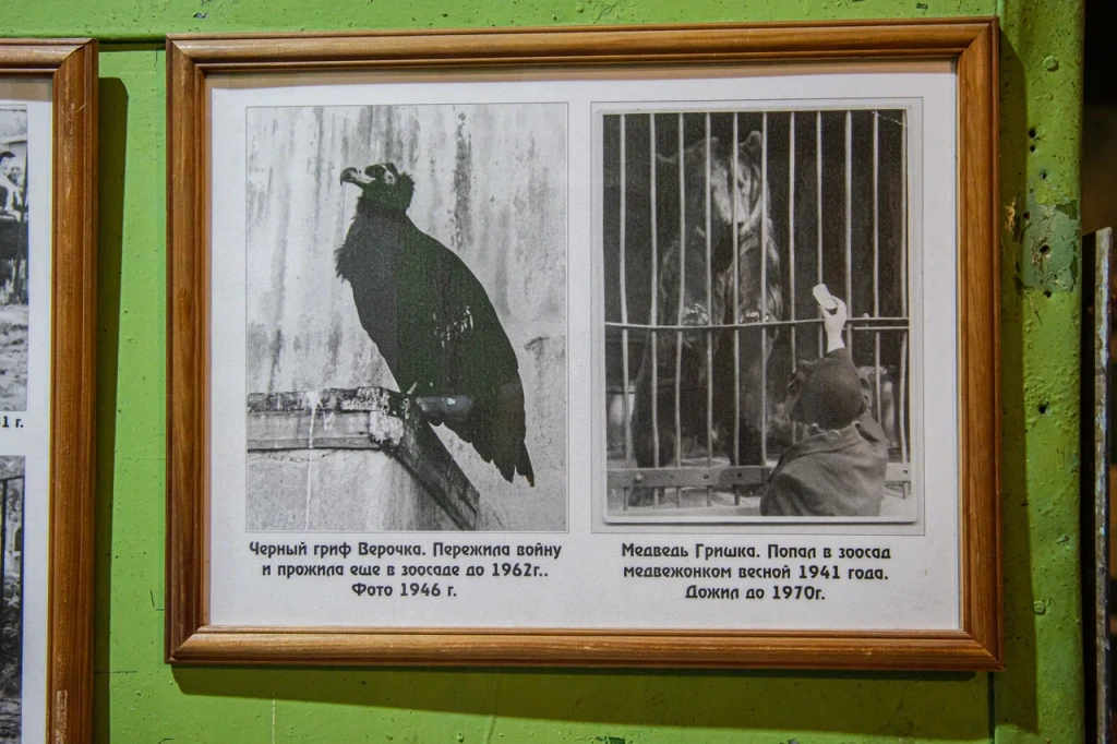 Фото: Ирина Иванова. Правообладатель: Институт культурных программ. 