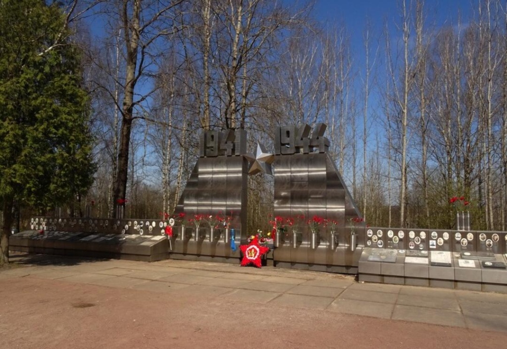 Синявинские высоты. Правообладатель: Национальный центр исторической памяти при Президенте Российской Федерации, russiancip.ru. 