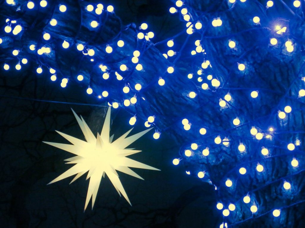 Звезды в Исаакиевском сквере. Фото: Ирина Иванова