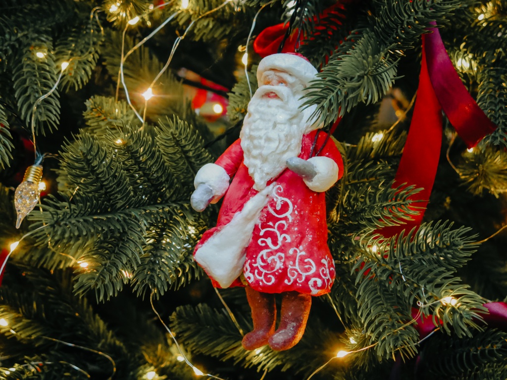 новый год 2024 Ирина Иванова-3268.jpg