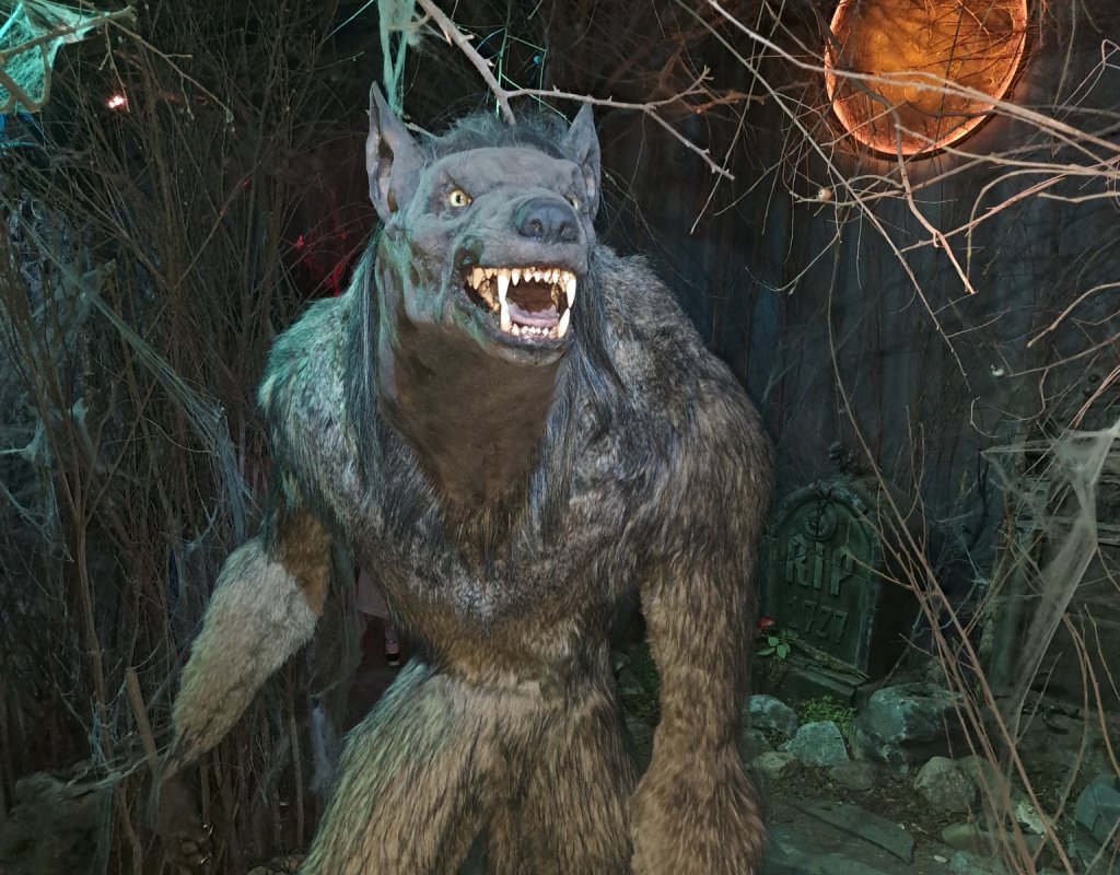 Фото: Алёна Абрамова