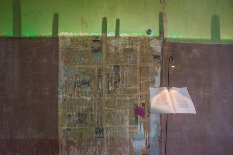 Фото: Ирина Иванова