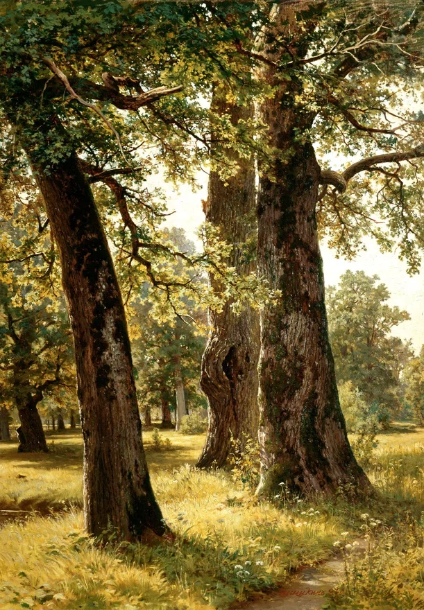 Иван Шишкин. Дубы. 