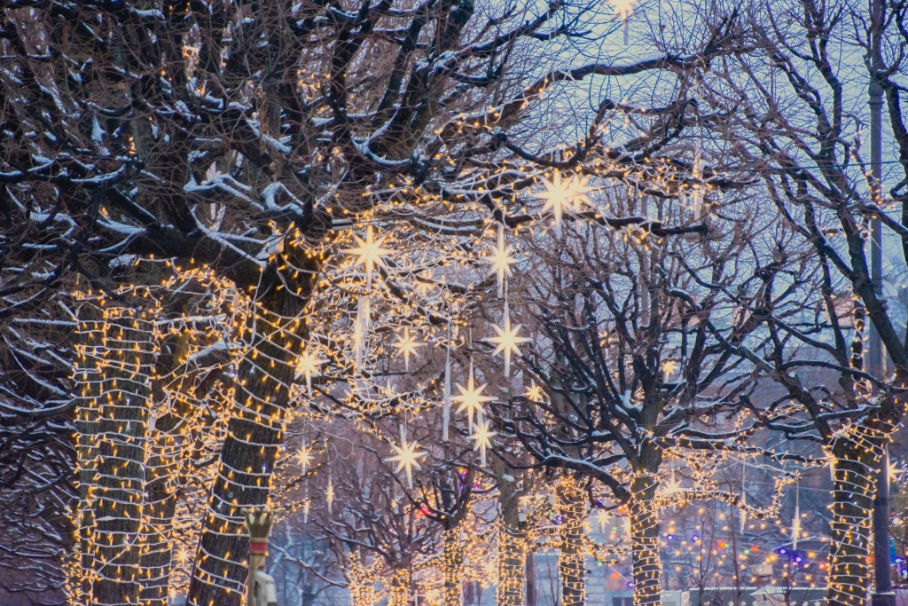 Кленовая улица. (Новый год 2023/4). Фото: Ирина Иванова.