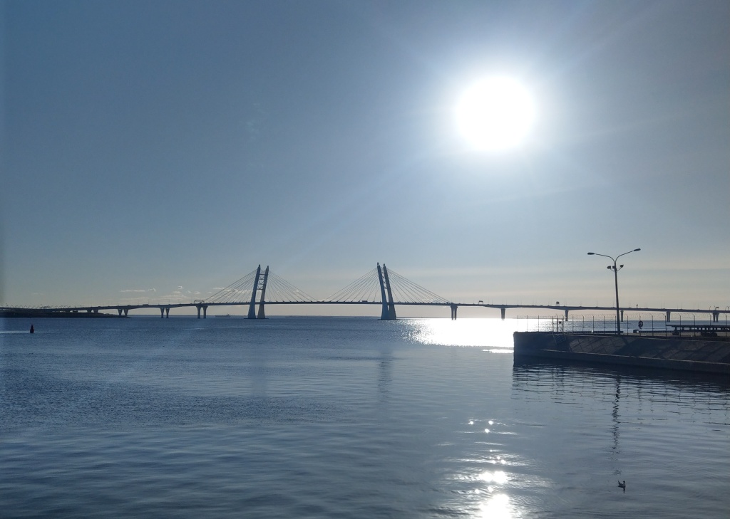 Фото: Алёна Абрамова