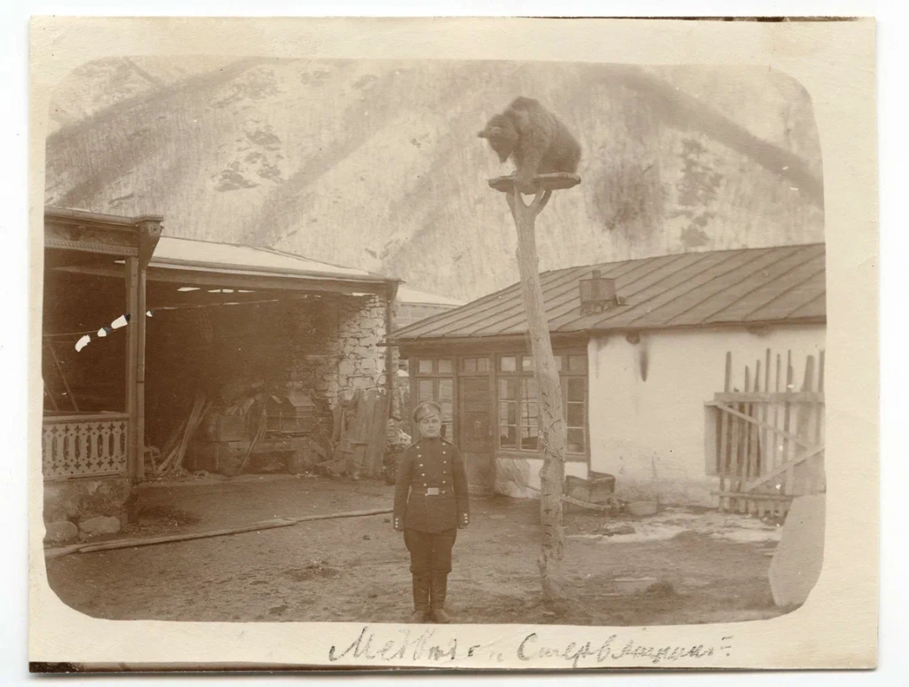 kp051_121_5071-scr.jpg