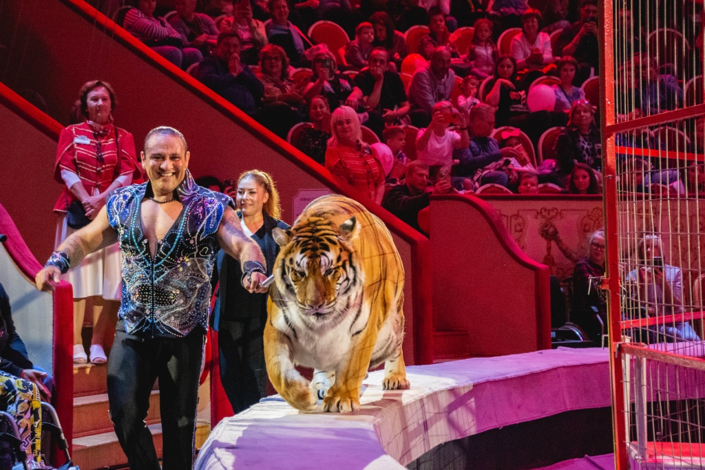 II Фестиваль циркового искусства «Без границ». Фото: Ирина Иванова.