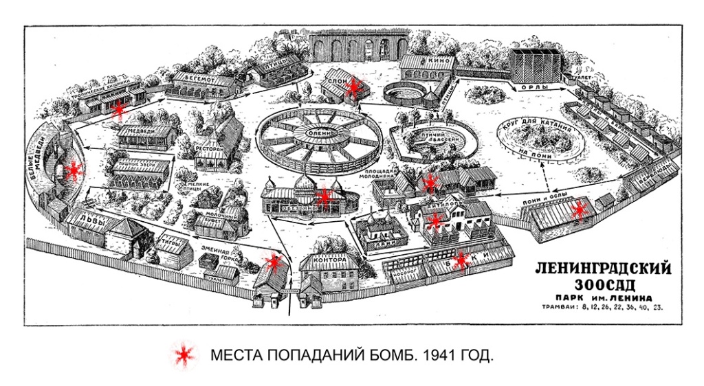Ленинградский зоосад в годы Великой Отечественной Войны очень сильно пострадал от обстрелов.