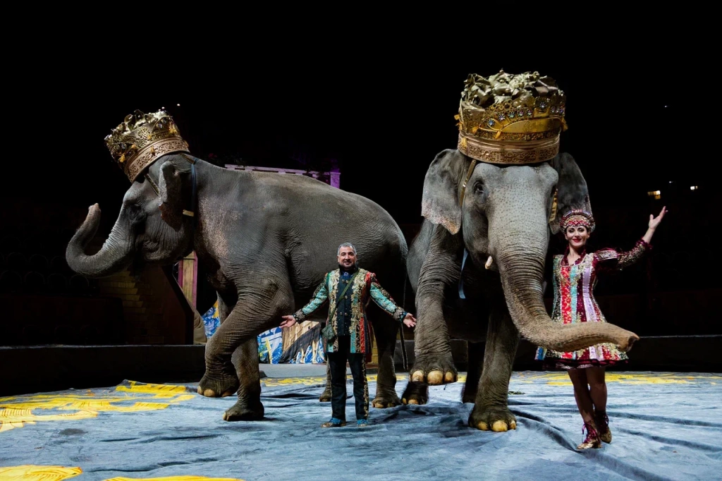 Особое восхищение вызывают номера с экзотическими животными.