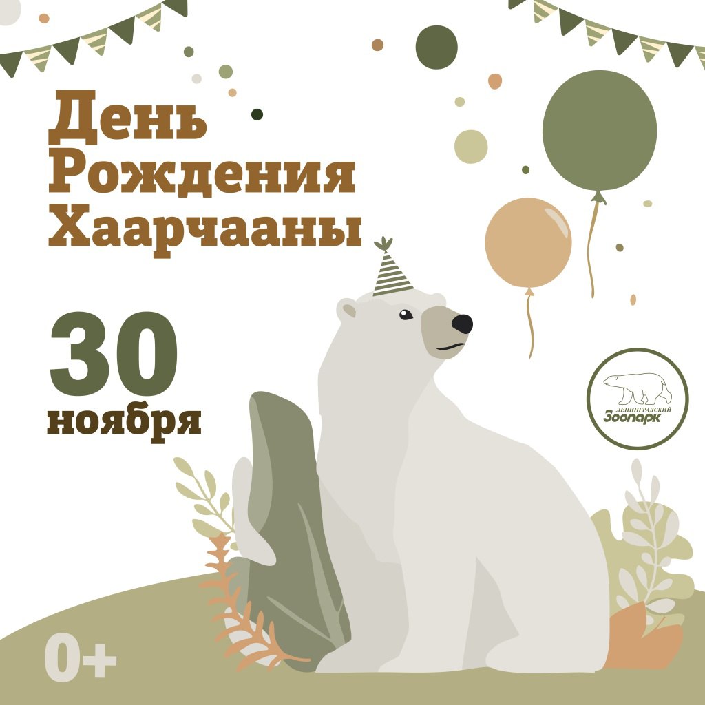 День рождения Хаарчааны. День рождения Хаарчааны.