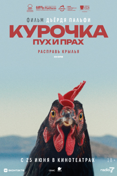«Курочка. Пух и прах». «Курочка. Пух и прах».