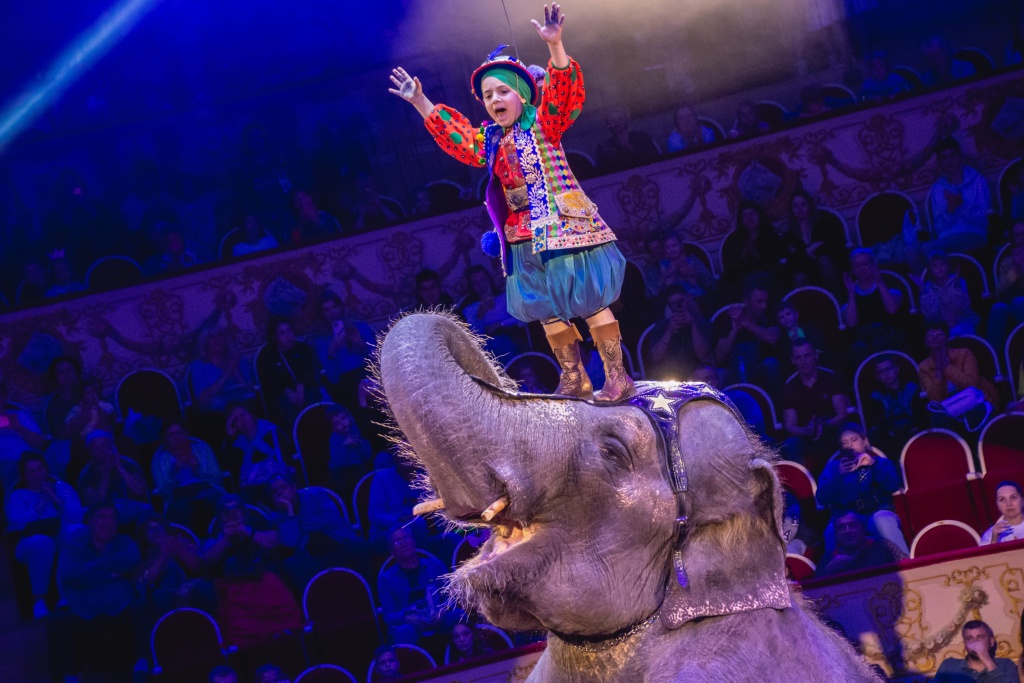 II Фестиваль циркового искусства «Без границ». Фото: Ирина Иванова.