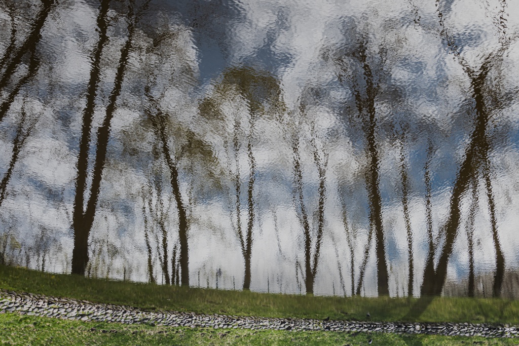 Весна 2025 Ирина Иванова-3199-6306.jpg