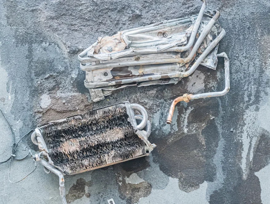 Фото: Ирина Иванова. Правообладатель: Институт культурных программ.