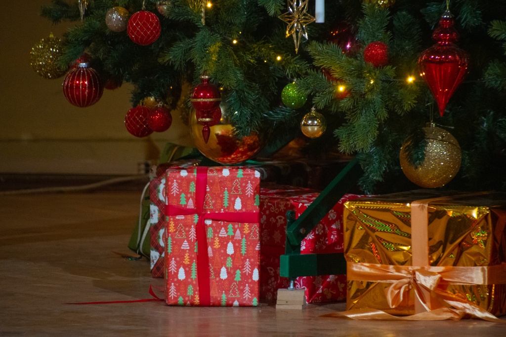 Новый год 2024 Ирина Иванова-6276.jpg