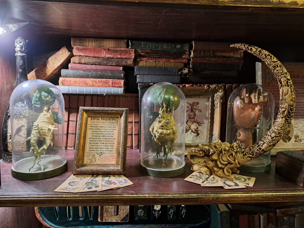 Фото: Алёна Абрамова