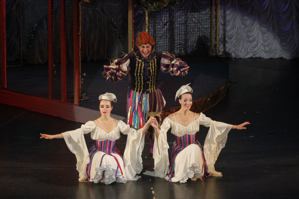 Сказки Шарля Перро любят взрослые и дети. Фото: предоставлено организаторами. 