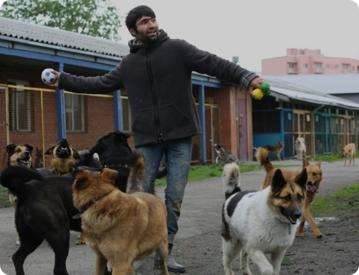 Приют «Ржевка». Фото: shelter-rzhevka.com