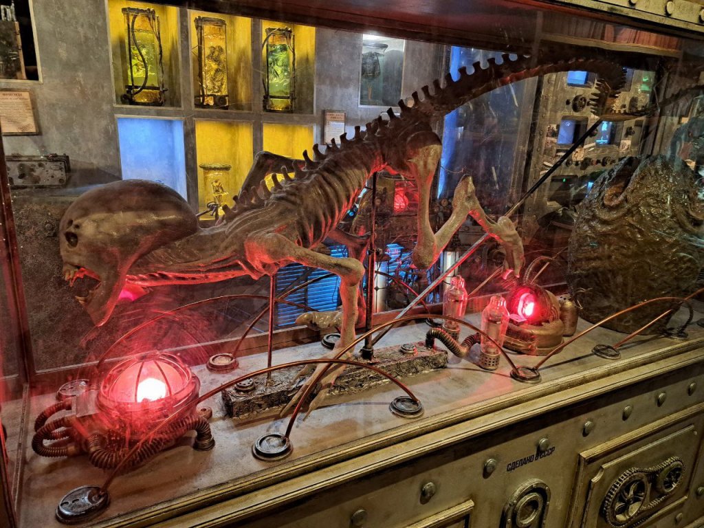 Фото: Алёна Абрамова