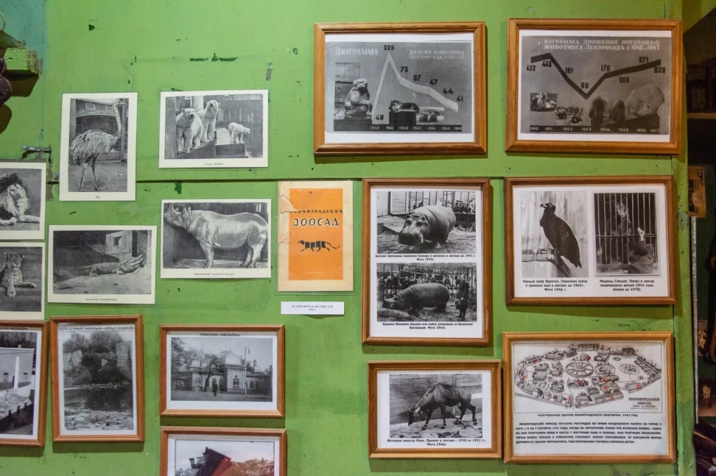 Фото: Ирина Иванова. Правообладатель: Институт культурных программ. 