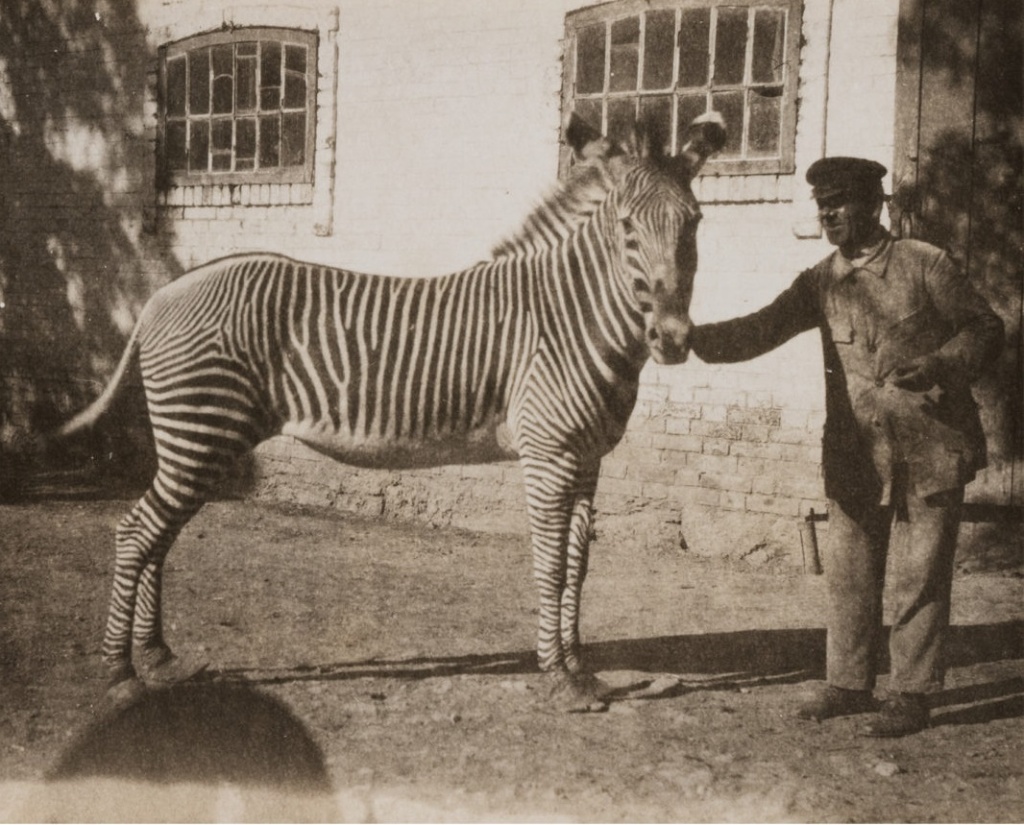 Правообладатель: РОСФОТО, rosphoto.org. Правообладатель: РОСФОТО, rosphoto.org.