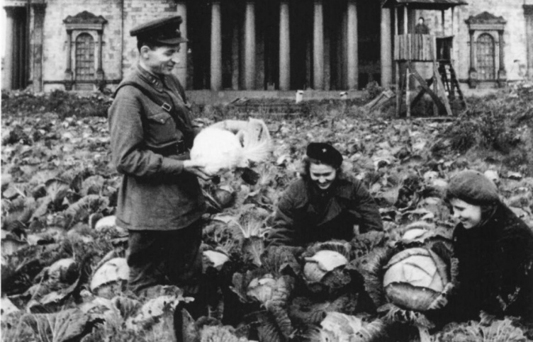 Блокадный огород у Исаакиевского собора. 1942 год.