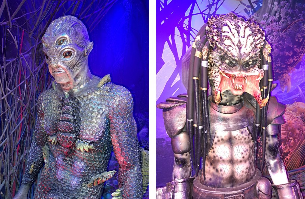 Фото: Алёна Абрамова